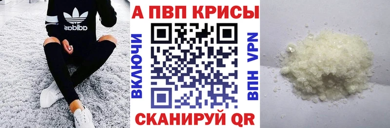 Альфа ПВП СК КРИС  Зубцов 