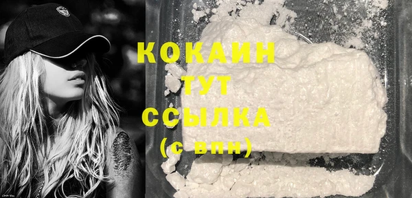 шишки Абдулино
