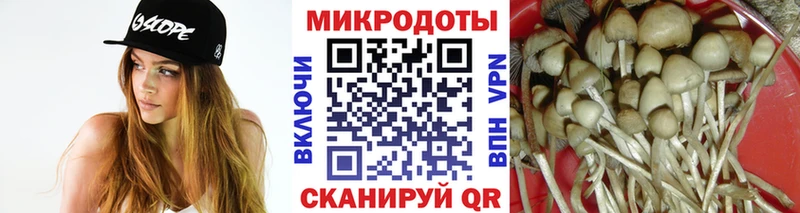 продажа наркотиков  Зубцов  Псилоцибиновые грибы мицелий 